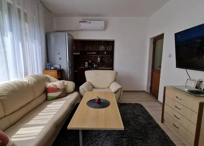 Vipo Vista * Wielkie Tyrnowo